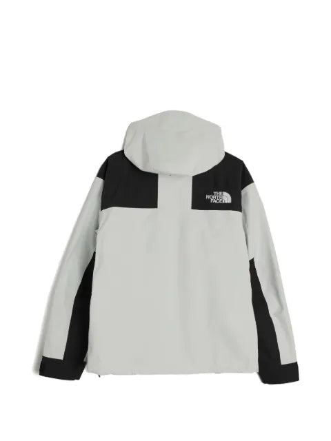The North Face gore-tex Mountain jacket