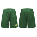 Chrome Hearts Sports Mesh Varsity Shorts Green